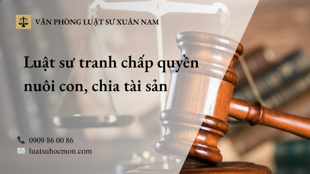 Luật sư tranh chấp quyền nuôi con, chia tài sản