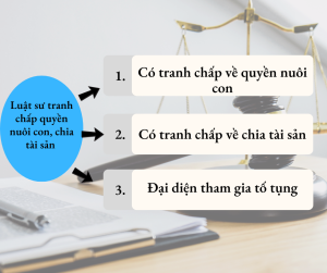 Luật sư tranh chấp quyền nuôi con, chia tài sản
