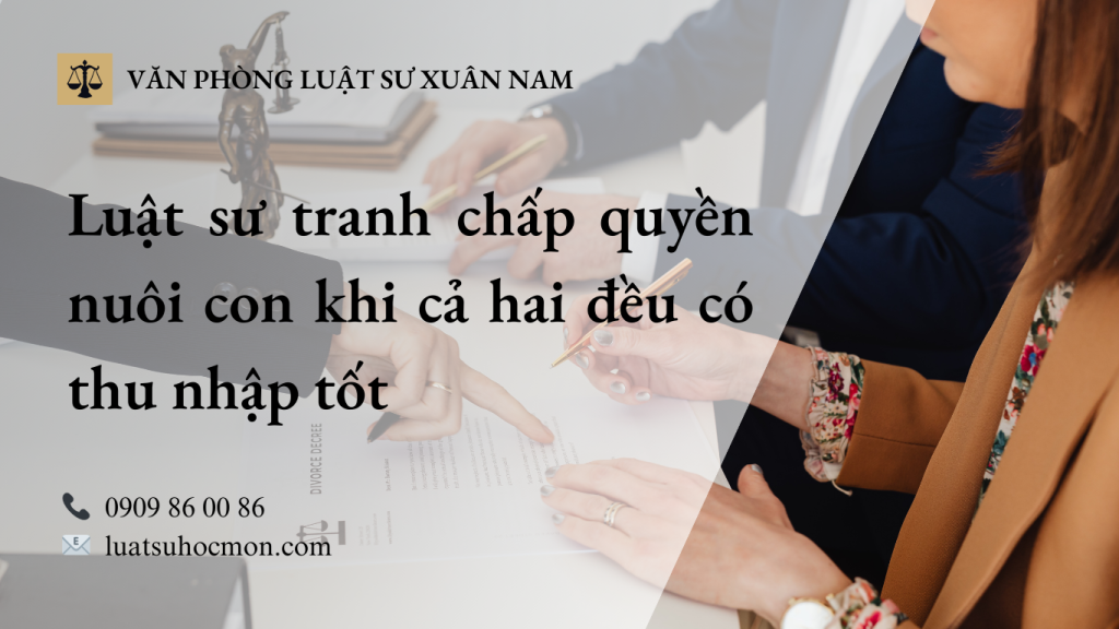 Luật sư tranh chấp quyền nuôi con khi cả hai đều có thu nhập tốt